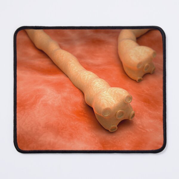 Item preview, STK701666H-Illustration of tapeworms. designed and sold by StocktrekImages.