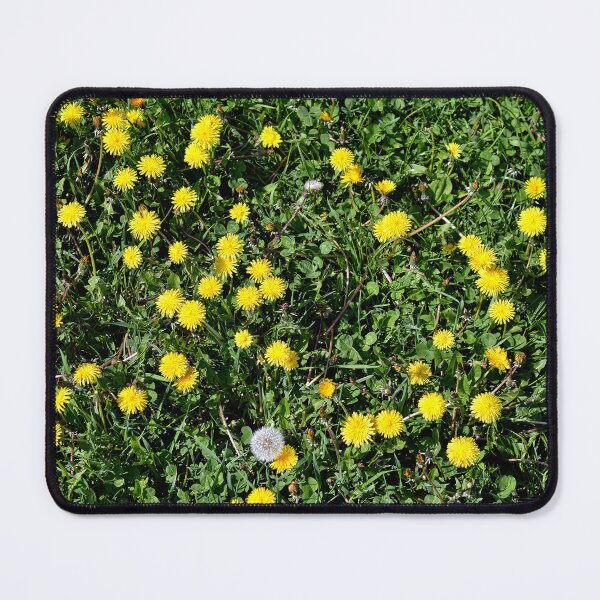 Item preview, Decorative products with dandelions designed and sold by Marcu Ioachim.