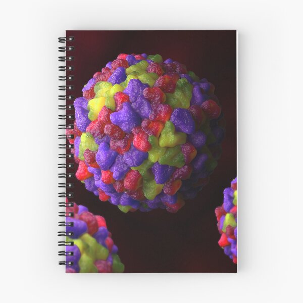 Item preview, STK701670H-Illustration of togavirus. designed and sold by StocktrekImages.