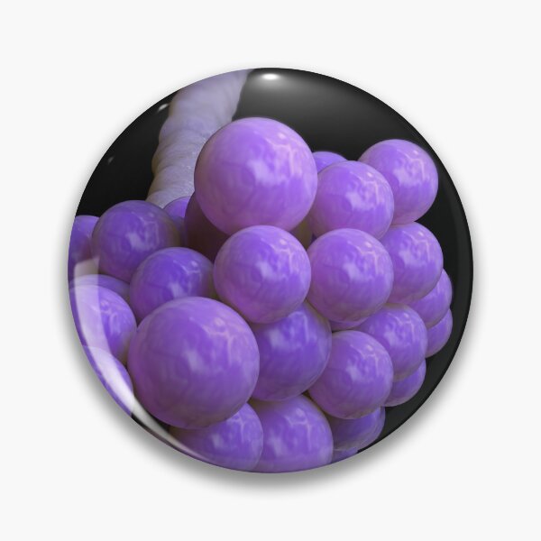 Item preview, STK701671H-Illustration of Candida glabrata. designed and sold by StocktrekImages.
