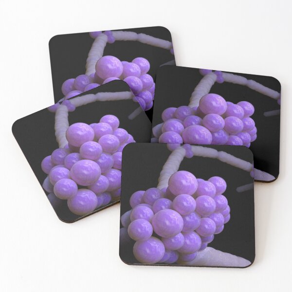 Item preview, STK701671H-Illustration of Candida glabrata. designed and sold by StocktrekImages.