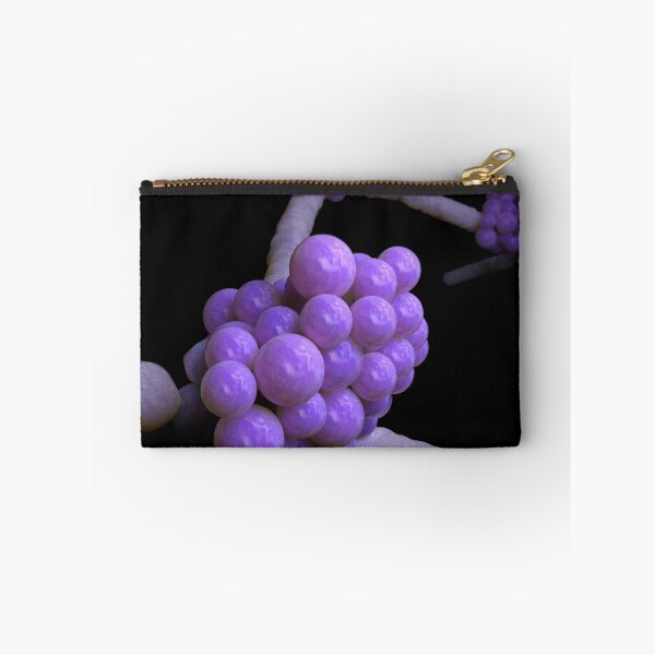 Item preview, STK701671H-Illustration of Candida glabrata. designed and sold by StocktrekImages.