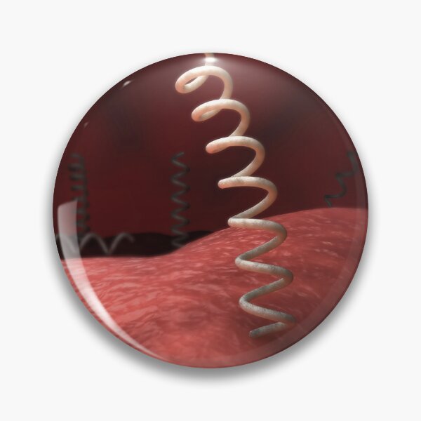 Item preview, STK701673H-Illustration of Treponema pallidum bacteria. designed and sold by StocktrekImages.