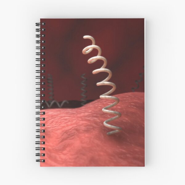 Item preview, STK701673H-Illustration of Treponema pallidum bacteria. designed and sold by StocktrekImages.
