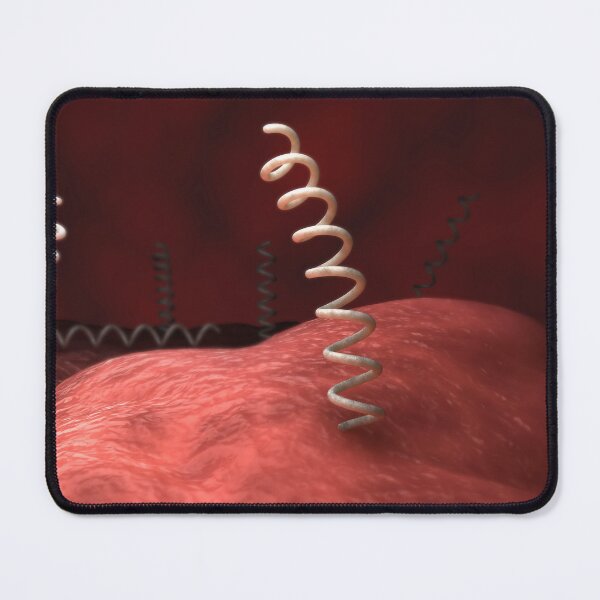 Item preview, STK701673H-Illustration of Treponema pallidum bacteria. designed and sold by StocktrekImages.