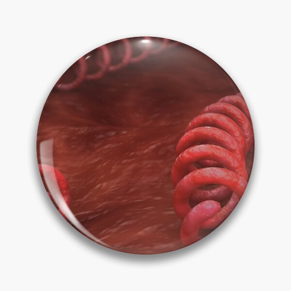 Item preview, STK701674H-Illustration of Treponema pallidum bacteria. designed and sold by StocktrekImages.