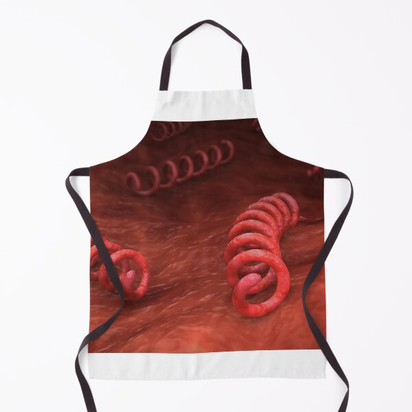 Item preview, STK701674H-Illustration of Treponema pallidum bacteria. designed and sold by StocktrekImages.