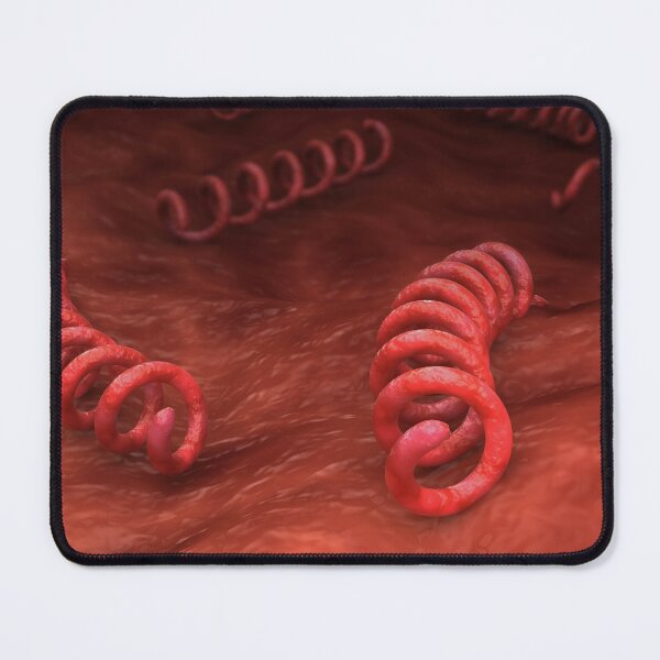 Item preview, STK701674H-Illustration of Treponema pallidum bacteria. designed and sold by StocktrekImages.
