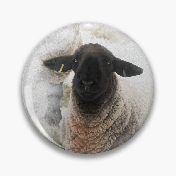 Item preview, Suffolk Ram Watercolour Photograph designed and sold by Jane Stanley Photography.
