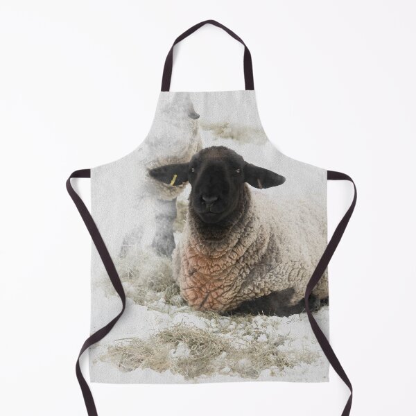 Item preview, Suffolk Ram Watercolour Photograph designed and sold by Jane Stanley Photography.