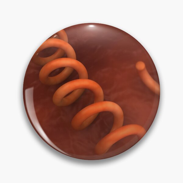 Item preview, STK701677H-Illustration of Treponema pallidum bacteria. designed and sold by StocktrekImages.