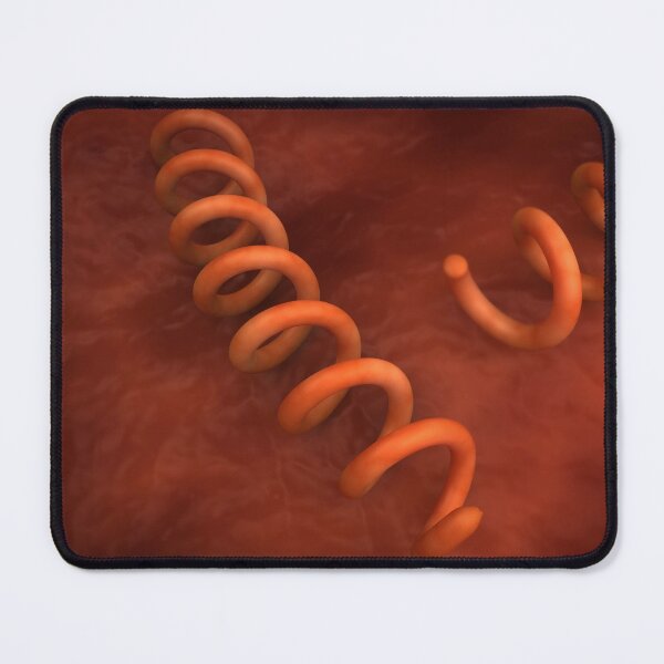 Item preview, STK701677H-Illustration of Treponema pallidum bacteria. designed and sold by StocktrekImages.