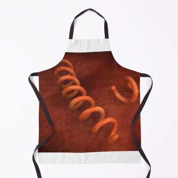 Item preview, STK701677H-Illustration of Treponema pallidum bacteria. designed and sold by StocktrekImages.