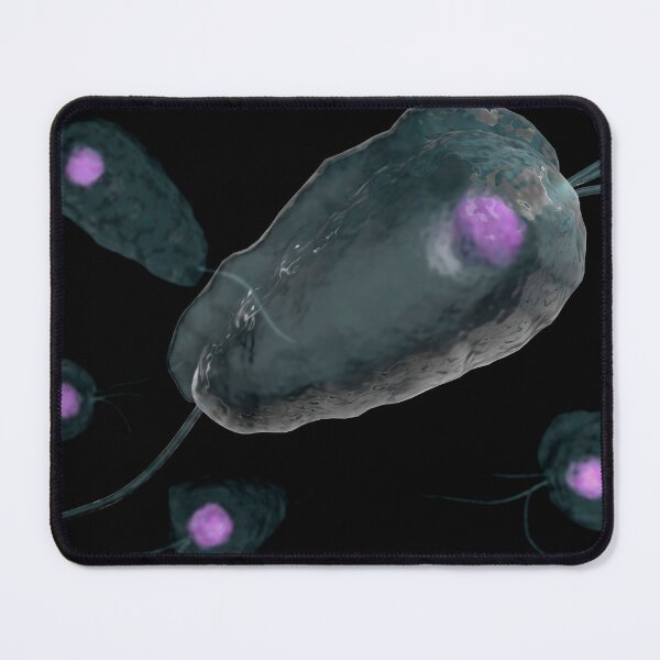 Item preview, STK701678H-Trichomoniasis, a sexually transmitted infectious disease. designed and sold by StocktrekImages.