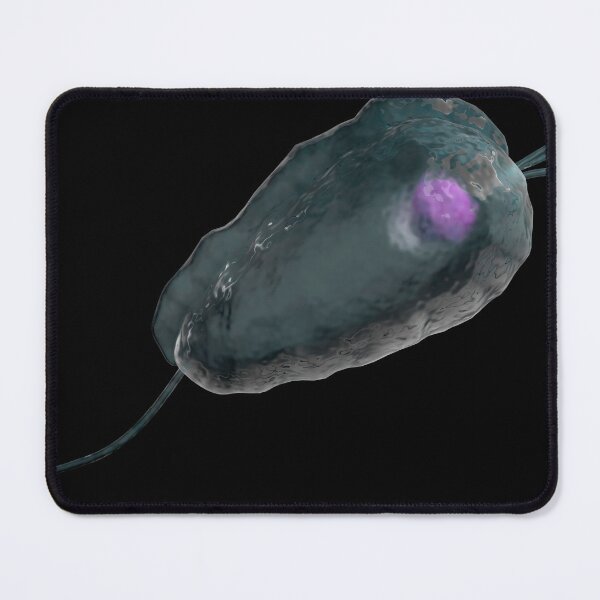 Item preview, STK701679H-Illustration of trichomoniasis. designed and sold by StocktrekImages.