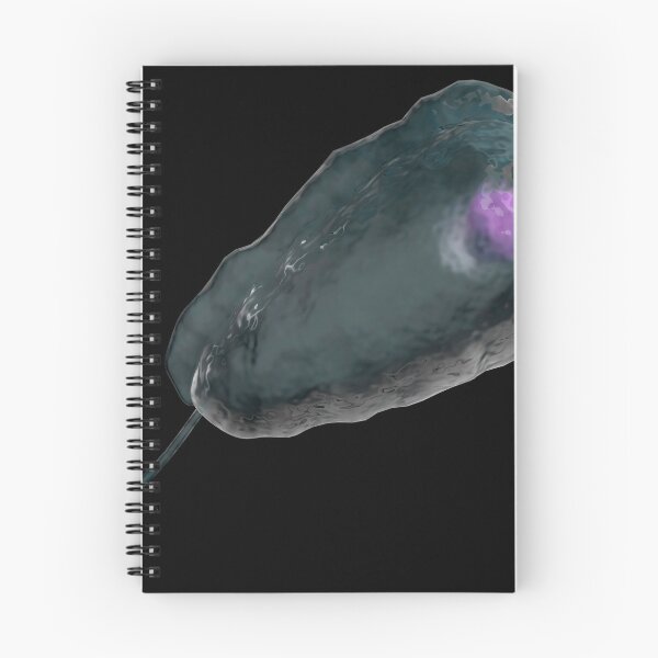 Item preview, STK701679H-Illustration of trichomoniasis. designed and sold by StocktrekImages.