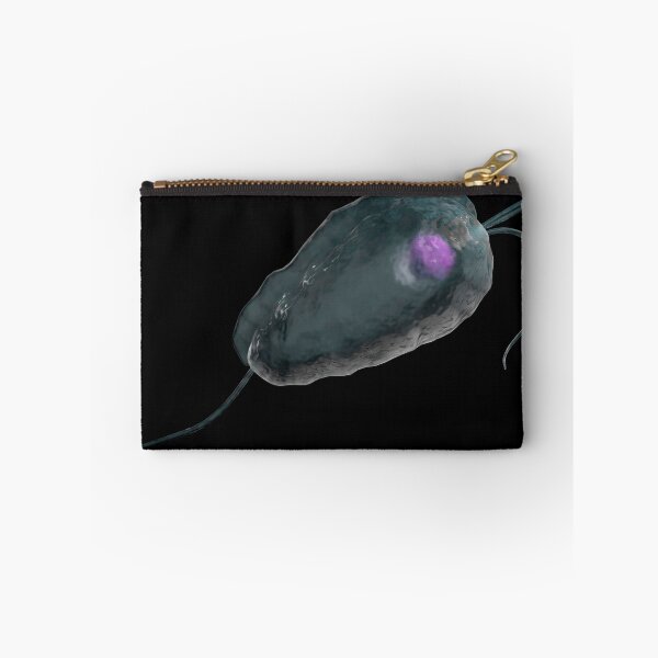 Item preview, STK701679H-Illustration of trichomoniasis. designed and sold by StocktrekImages.