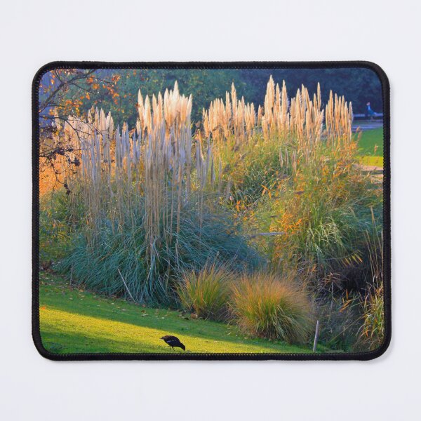 Item preview, Jardins da Gulbenkian. Gardens of Gulbenkian Art Museum designed and sold by Tereza Pilar  Art.