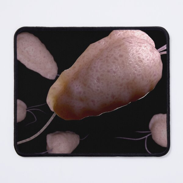 Item preview, STK701680H-Illustration of trichomoniasis. designed and sold by StocktrekImages.