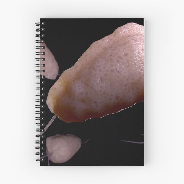 Item preview, STK701680H-Illustration of trichomoniasis. designed and sold by StocktrekImages.
