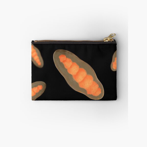 Item preview, STK701681H-Illustration of Trichophyton. designed and sold by StocktrekImages.