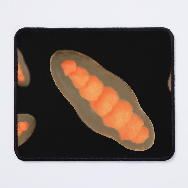 Item preview, STK701681H-Illustration of Trichophyton. designed and sold by StocktrekImages.