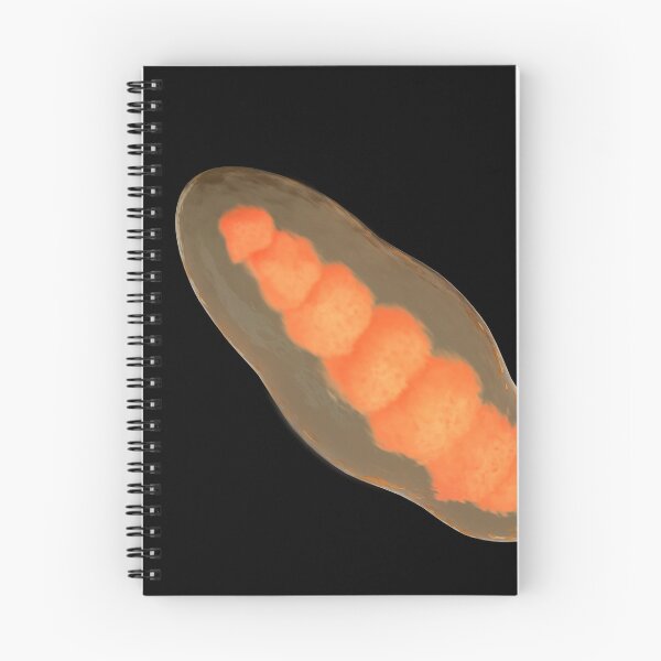 Item preview, STK701681H-Illustration of Trichophyton. designed and sold by StocktrekImages.