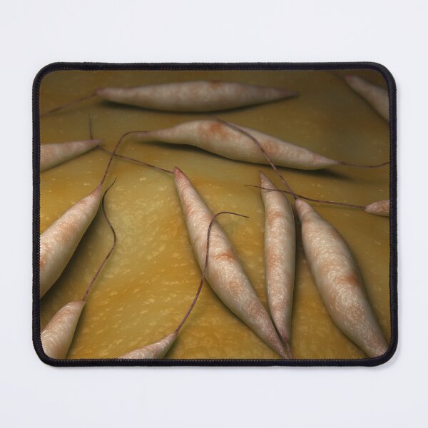 Item preview, STK701682H-Illustration of visceral leishmaniasis. designed and sold by StocktrekImages.
