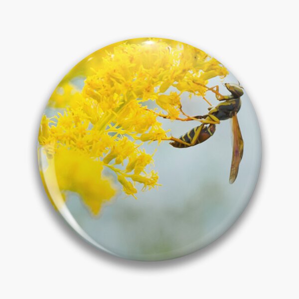Item preview, Wasp Arch designed and sold by PhotosByDSR.