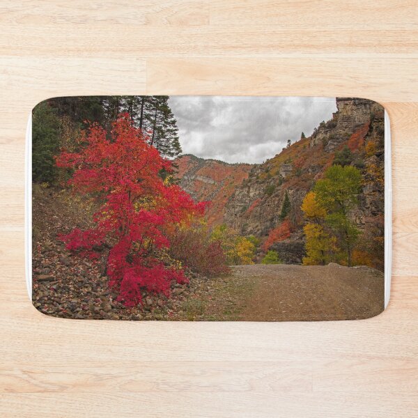 Item preview, IceBox Canyon via Art Nord - fall designed and sold by Imthenats Photography and Art.