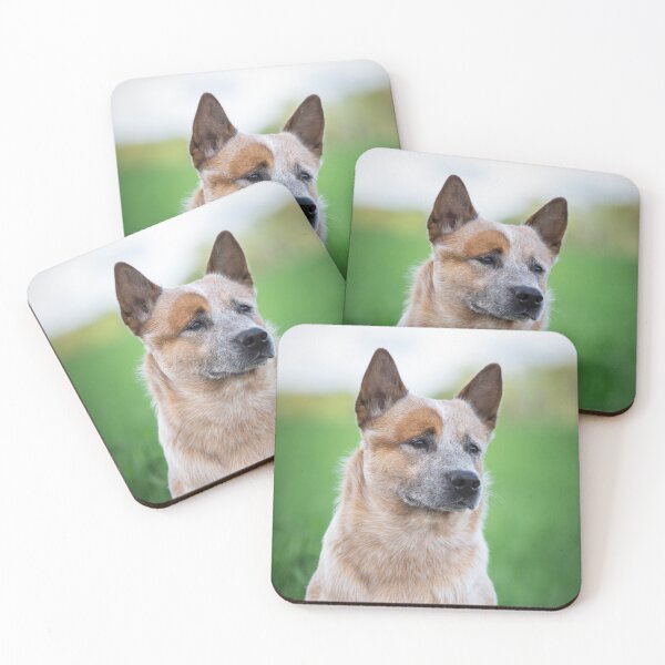 Artikelvorschau, Australian Cattle Dog entworfen und verkauft von WeightPulling.
