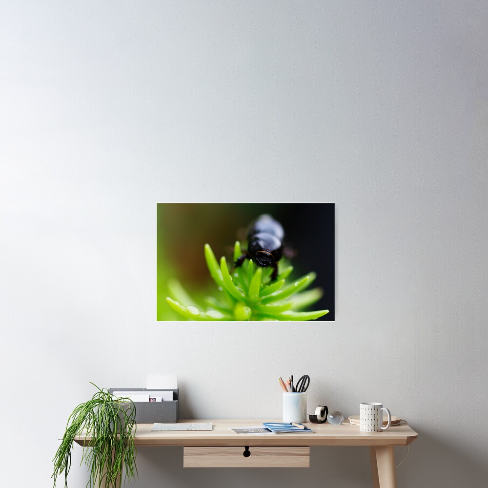 BeetleJuice Poster