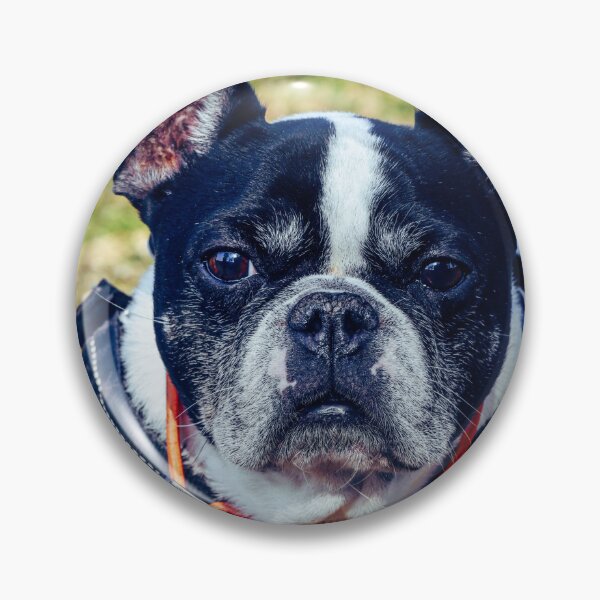 Item preview, happy doggy designed and sold by SzendeB.