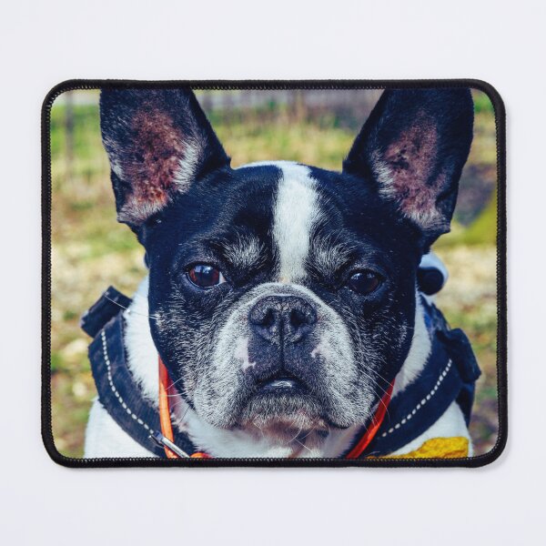 Item preview, happy doggy designed and sold by SzendeB.