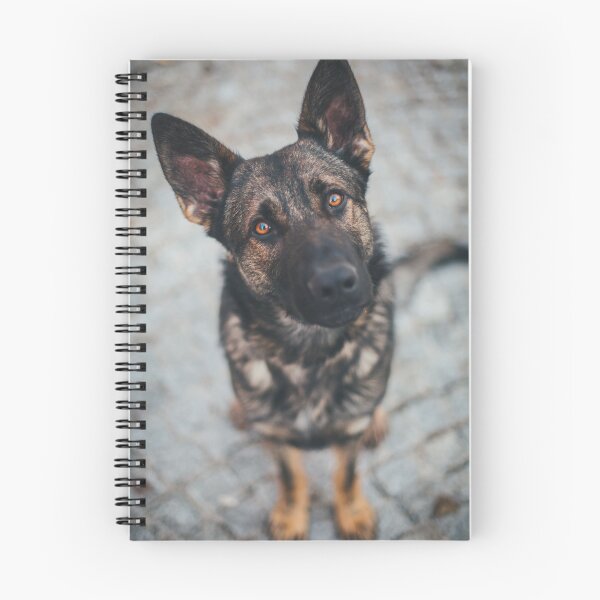 Artikelvorschau, German Shepherd Dog (Deutscher Schäferhund) entworfen und verkauft von WeightPulling.