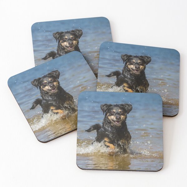 Item preview, Austrian Pinscher (Austrian Pinscher) designed and sold by WeightPulling.