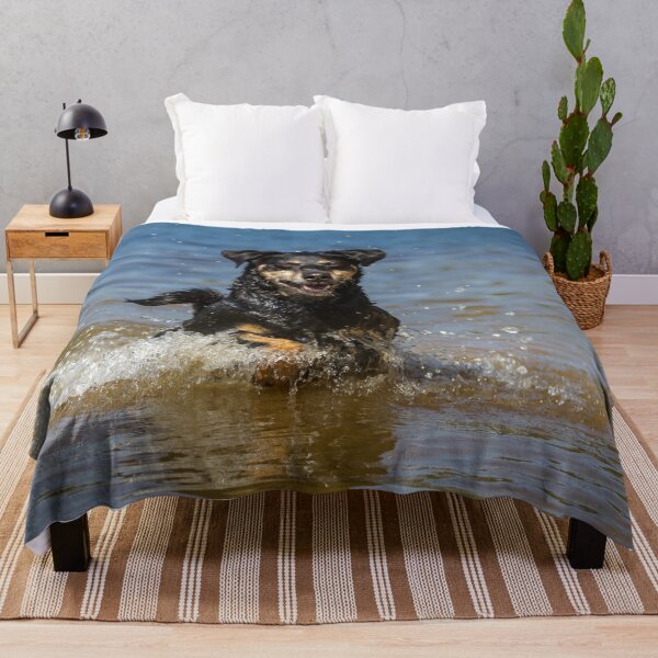Item preview, Austrian Pinscher (Austrian Pinscher) designed and sold by WeightPulling.