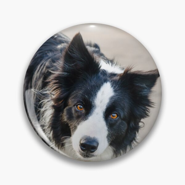 Item preview, sly dog designed and sold by SzendeB.