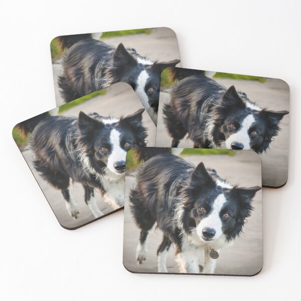 Item preview, sly dog designed and sold by SzendeB.