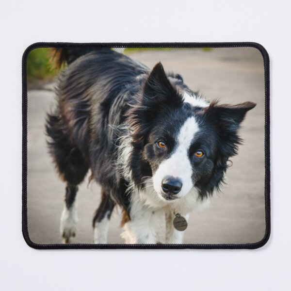 Item preview, sly dog designed and sold by SzendeB.
