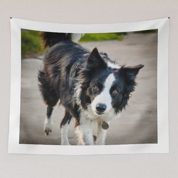 Item preview, sly dog designed and sold by SzendeB.