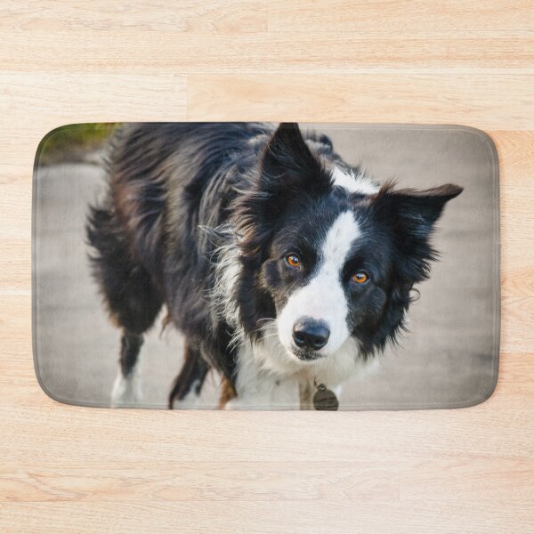 Item preview, sly dog designed and sold by SzendeB.