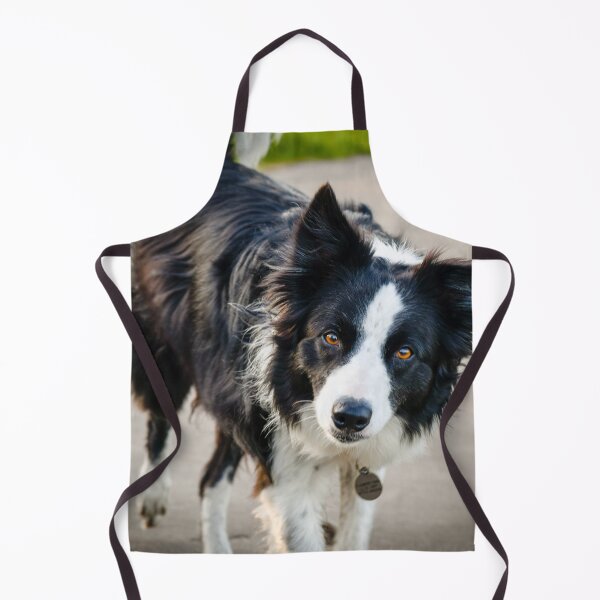 Item preview, sly dog designed and sold by SzendeB.