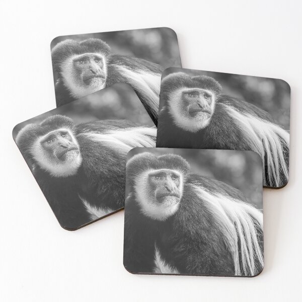 Item preview, Colobus Monkey Portrait Tanzania Africa designed and sold by PhotoArt by Joan Carroll.