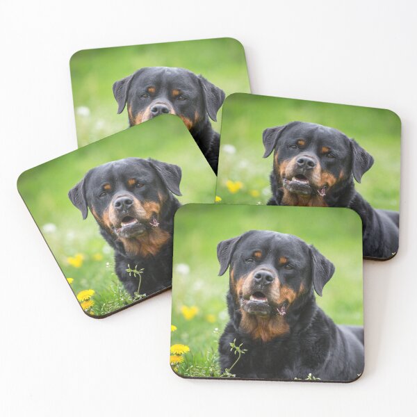 Item preview, rottweiler designed and sold by WeightPulling.