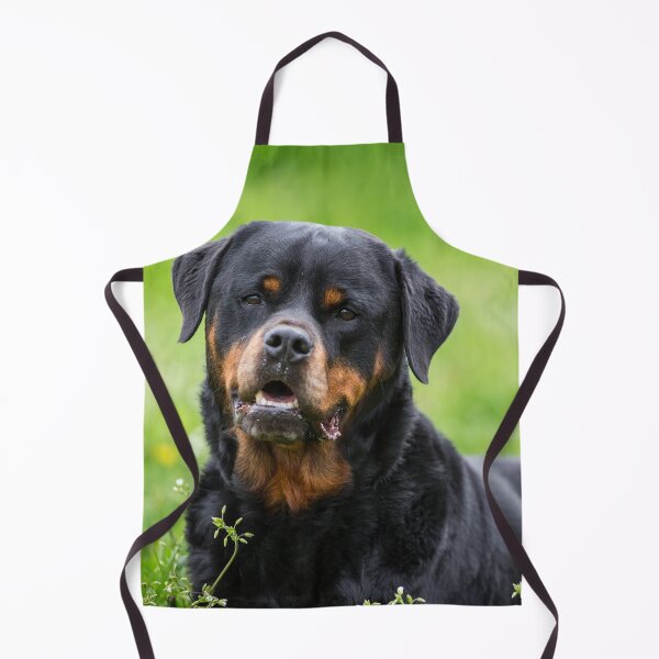 Item preview, rottweiler designed and sold by WeightPulling.