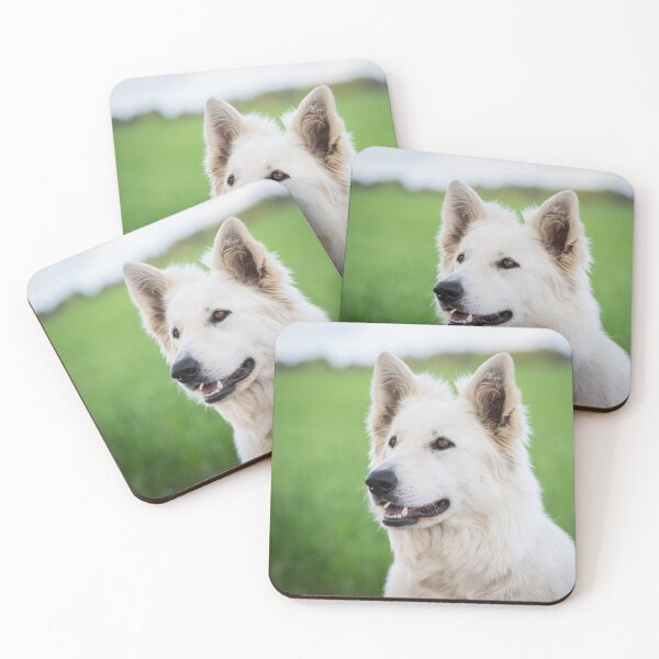 Item preview, White Swiss Shepherd Dog (Berger Blanc Suisse) designed and sold by WeightPulling.