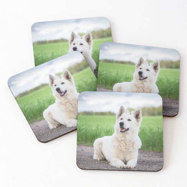 Item preview, White Swiss Shepherd Dog (Berger Blanc Suisse) designed and sold by WeightPulling.