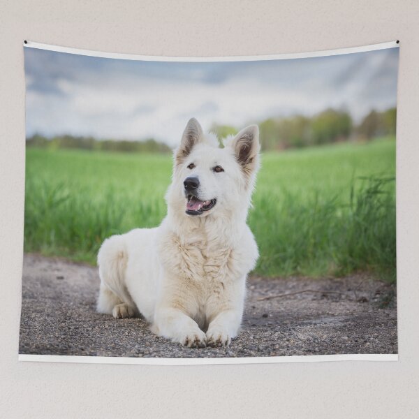 Item preview, White Swiss Shepherd Dog (Berger Blanc Suisse) designed and sold by WeightPulling.