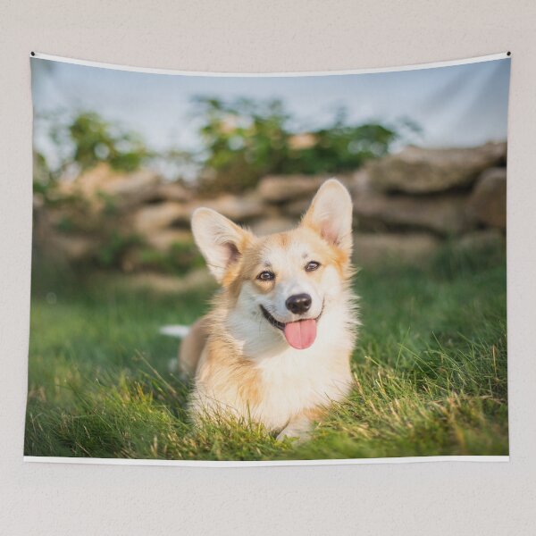 Artikelvorschau, Welsh Corgi Pembroke entworfen und verkauft von WeightPulling.